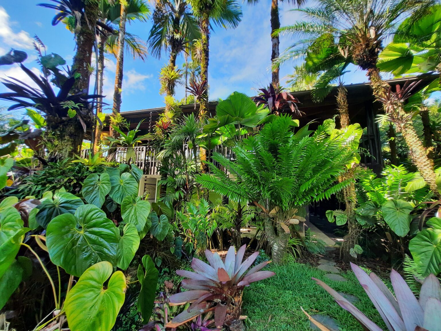 Photos | House Of The Palms