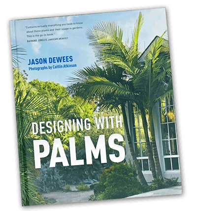 Designing with Palms